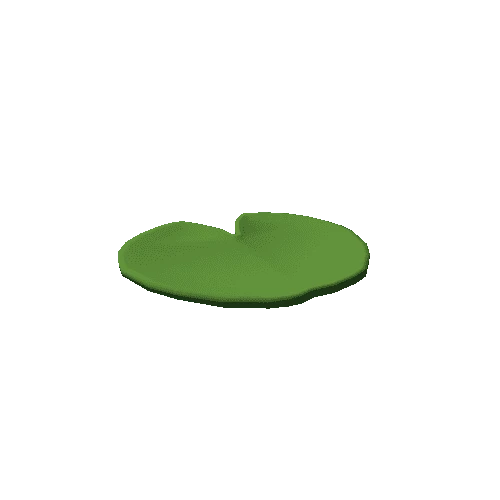 Lily Pad 1